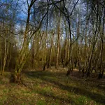 Mit Loggia Im Teutoburger Wald Bredenborn