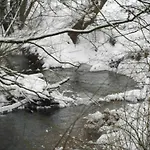 Mit Loggia Im Teutoburger Wald Feriehus *