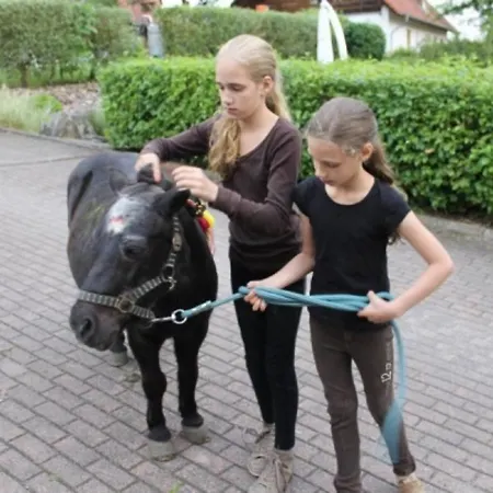 Detached In Germany With Loggia Σπίτι διακοπών *