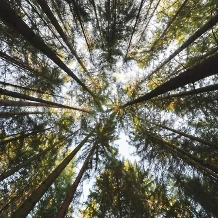 Mit Loggia Im Teutoburger Wald בית נופש *
