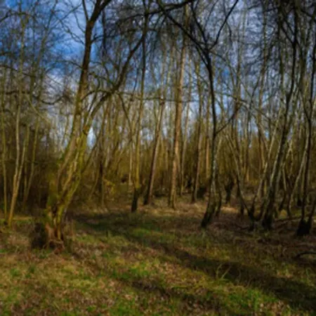 Mit Loggia Im Teutoburger Wald Bredenborn