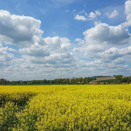 Detached Holiday Home In The Bruchttal * Bredenborn