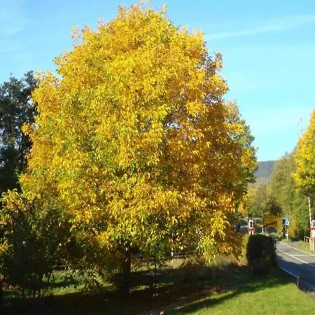 Prázdninový dům Mit Loggia Im Teutoburger Wald