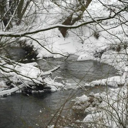 Detached In Germany With Loggia Σπίτι διακοπών *