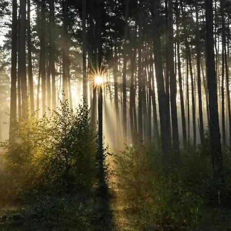 Prázdninový dům Mit Loggia Im Teutoburger Wald *