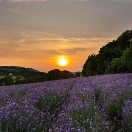 Detached In Germany With Loggia * Bredenborn