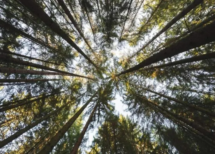 Mit Loggia Im Teutoburger Wald בית נופש *