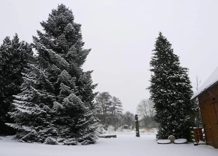 Mit Loggia Im Teutoburger Wald *