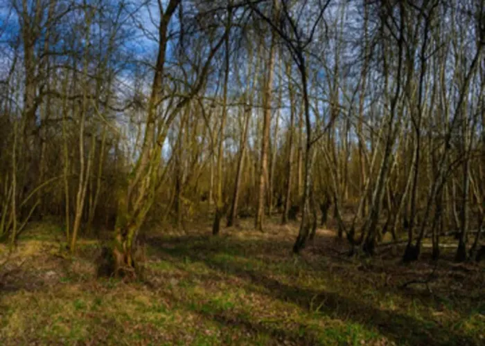 Mit Loggia Im Teutoburger Wald Bredenborn