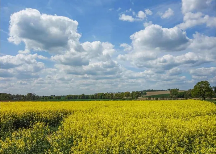 Mit Loggia Im Teutoburger Wald * Bredenborn