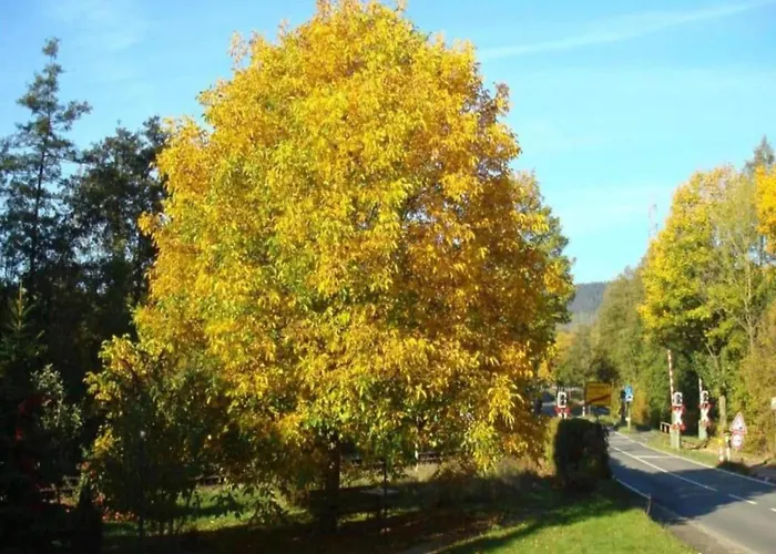 Сasa de vacaciones Mit Loggia Im Teutoburger Wald