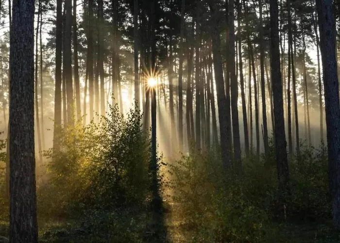 בית נופש Mit Loggia Im Teutoburger Wald *