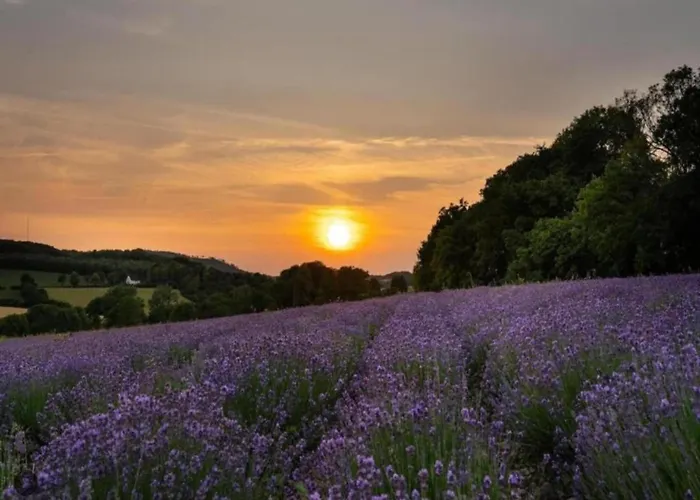 Mit Loggia Im Teutoburger Wald * Bredenborn
